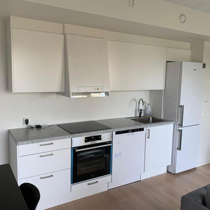 Scandpoint Apartment Fornebu Near Sea Front With Outdoor Walk! Stabekk Dış mekan fotoğraf